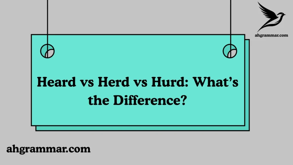 Heard vs Herd vs Hurd