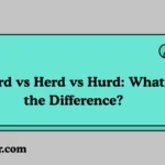 Heard vs Herd vs Hurd
