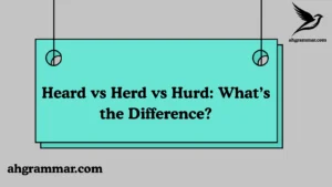 Heard vs Herd vs Hurd