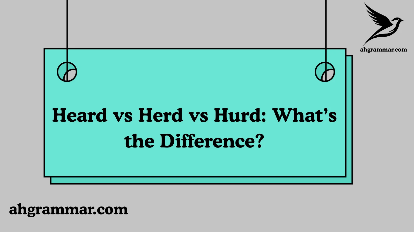 Heard vs Herd vs Hurd