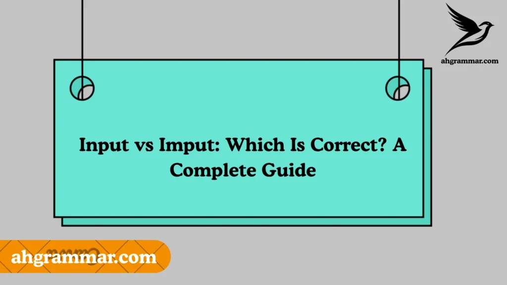 Input vs Imput
