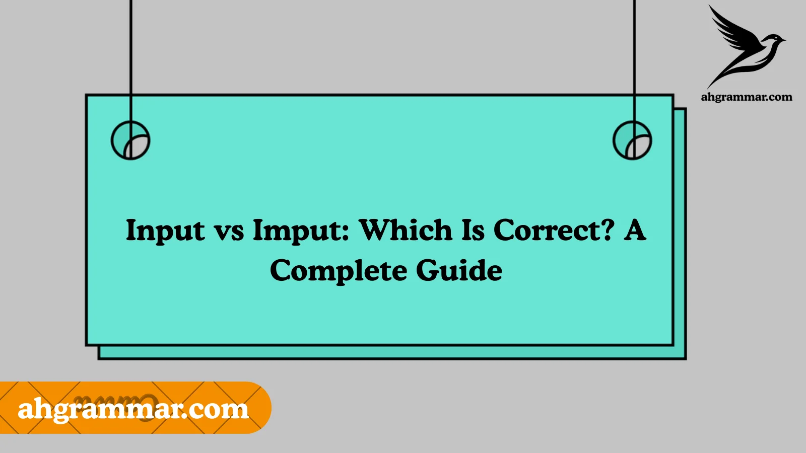 Input vs Imput