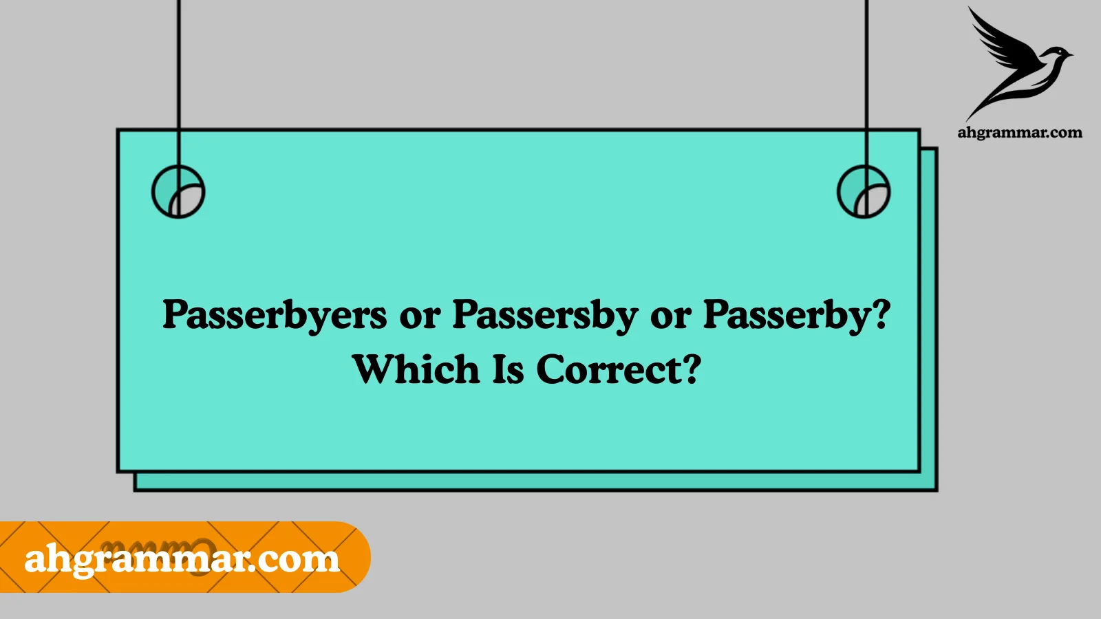 Passerbyers or Passersby or Passerby