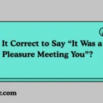 Is It Correct to Say “It Was a Pleasure Meeting You”?