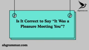 Is It Correct to Say “It Was a Pleasure Meeting You”?