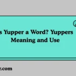 Is Yupper a Word? Yuppers Meaning and Use