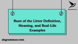 Runt of the Litter Definition