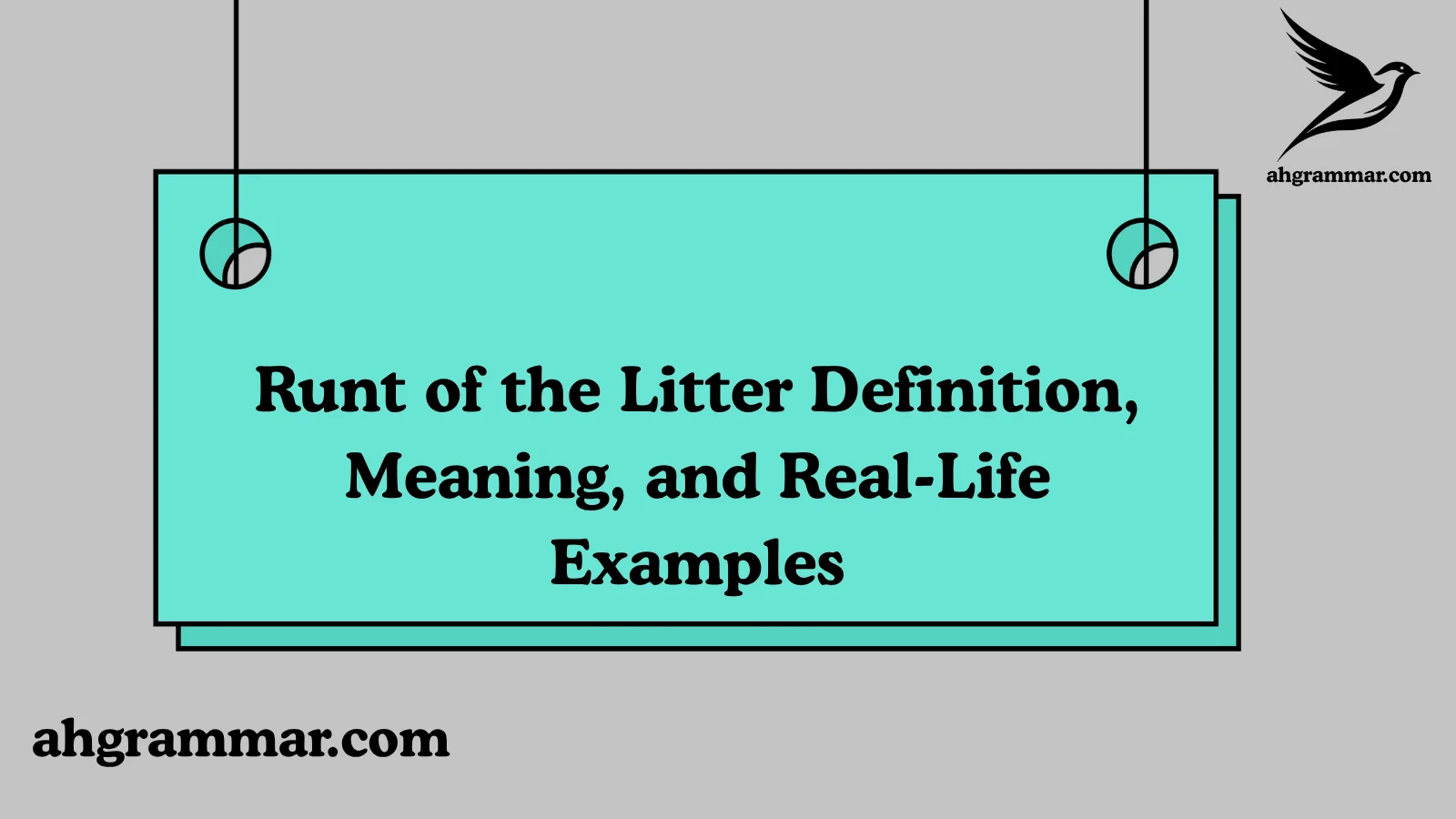 Runt of the Litter Definition
