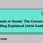 Sneek or Sneak