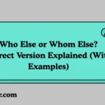Who Else or Whom Else? Correct Version Explained (With Examples)
